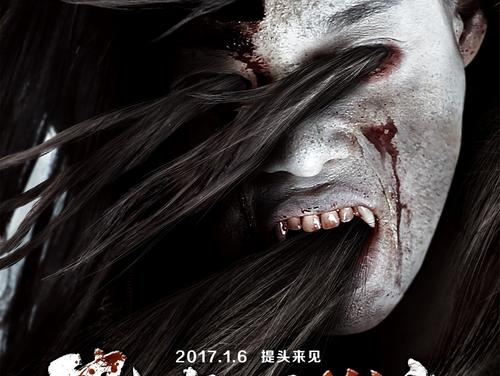 国立政府行政学院学位证电子图